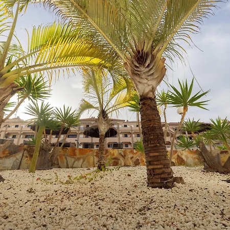 Whala!tenerife 3* Playa de las Americas (Tenerife)